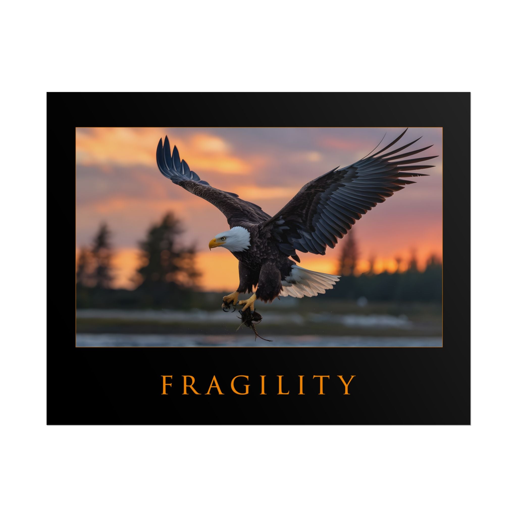FRAGILITY MOTIVATIONAL POSTER
