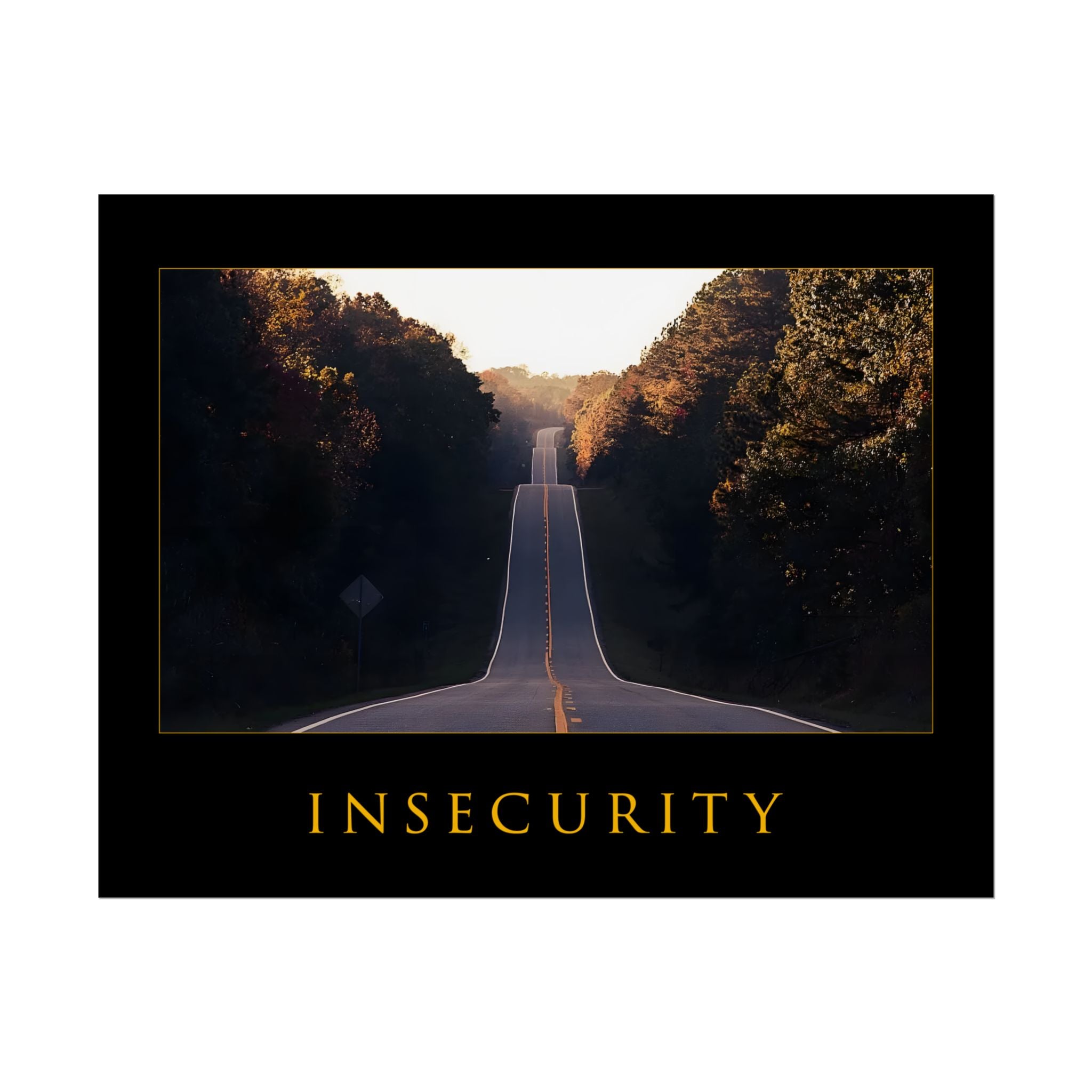 INSECURITY MOTIVATIONAL POSTER